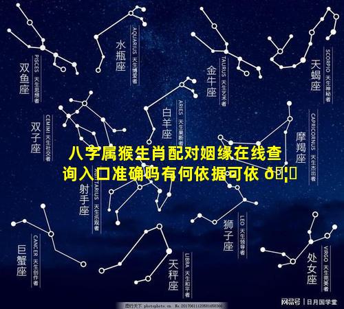 八字属猴生肖配对姻缘在线查询入口准确吗有何依据可依 🦋